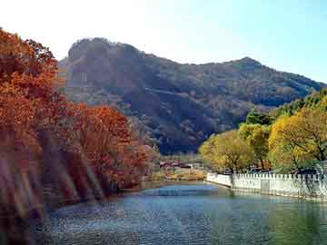 澳门最精准免费资料大全旅游景点_湖南一学校慷慨买1万多公斤荔枝，师生共享夏日甜蜜时光